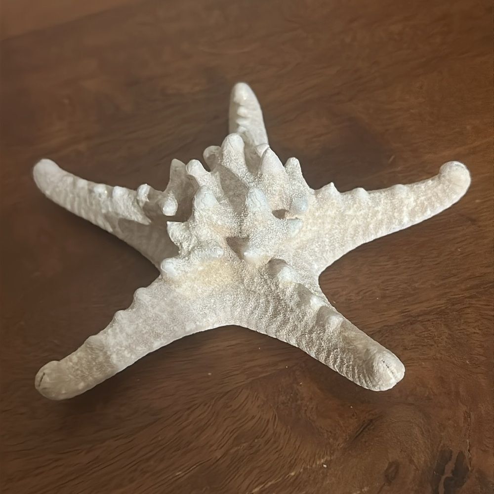 White Authentic Starfish! - Picture 2 of 5